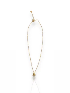 Collar fino concha dorada